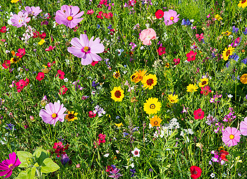 Details Stadt Kemnath i.d. Oberpfalz